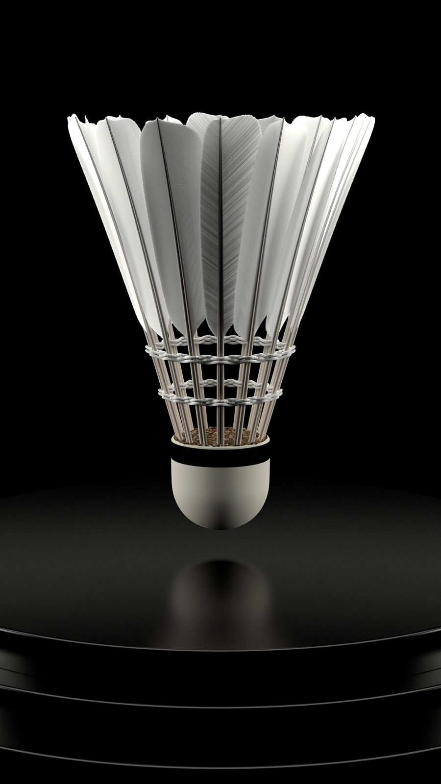 的前景充满 的前景充满