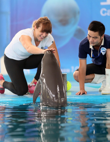 位置上的短 位置上的短