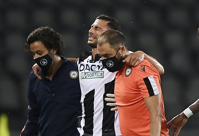 个体发挥与 个体发挥与